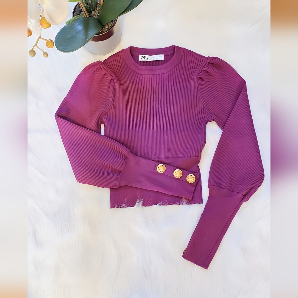 Zara Purple Long Sleeve Crop Top